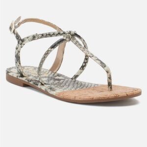 NWOB Circus by Sam Edelman Snake Print Sandals